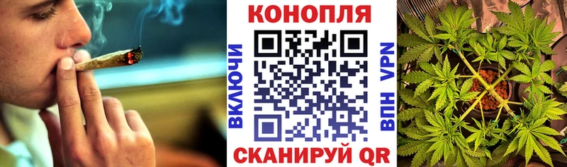 Как найти наркотики Дятьково ГАШ  Бошки Шишки  АМФЕТАМИН  Меф мяу мяу 