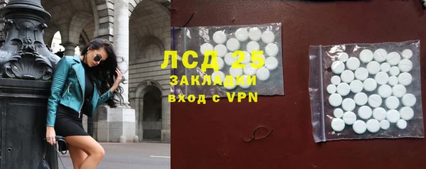 ПСИЛОЦИБИНОВЫЕ ГРИБЫ Вязники