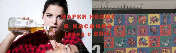 стаф Тавда