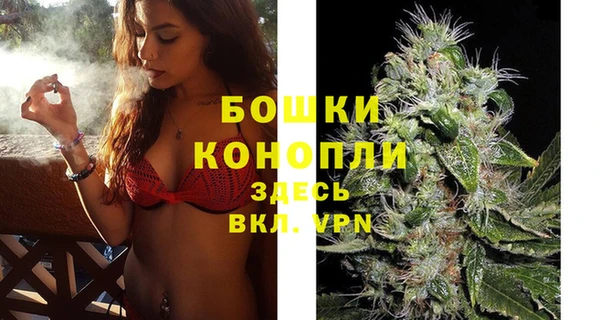 spice Вяземский