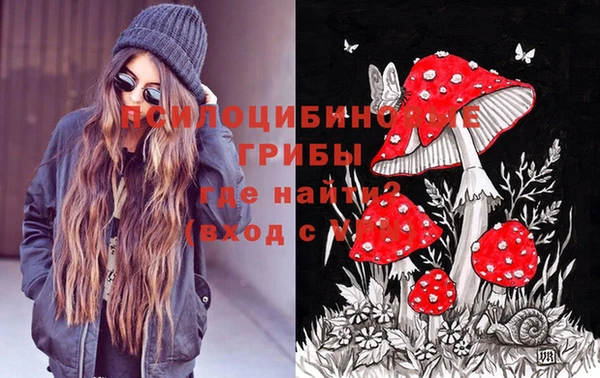 дмт Вязьма